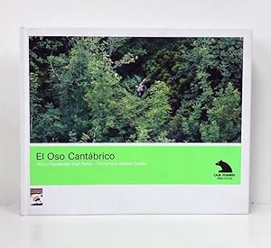 El oso cantábrico