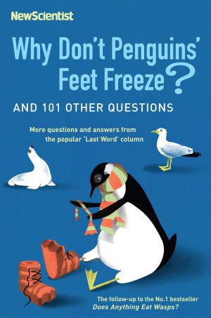 Why don't penguins feet freeze?