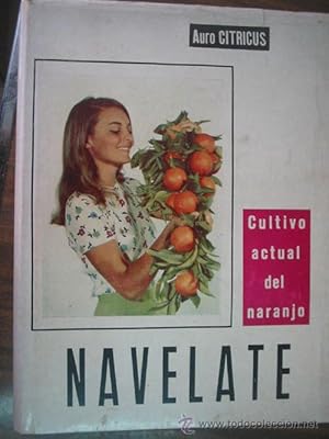 Navelate cultivo actual del naranjo