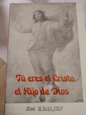 Tú eres el Cristo, el hijo de Dios