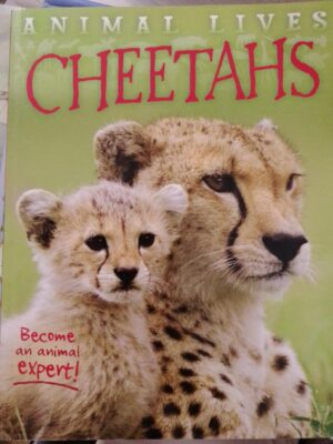 Animal lives. Cheetahs