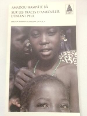 Sur les traces d'amkoullel - L'enfant peul
