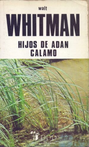Hijos de Adán - Cálamo