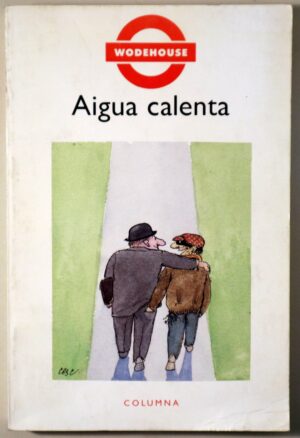 Aigua calenta